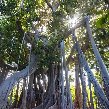 De Lujo Concordia Piscina Climatizada Y Excelentes Vistas Villa Puerto de la Cruz (Tenerife)